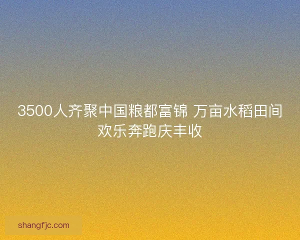 3500人齐聚中国粮都富锦 万亩水稻田间欢乐奔跑庆丰收